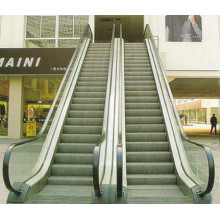 Stainless Steel Home Cheap Cost Residential Indoor Escalator